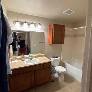 Colonies at Hillside roomate need