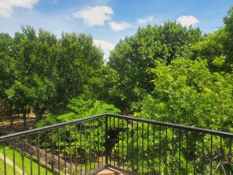 Fully Private Apartment No Roomies