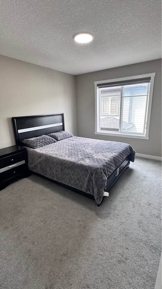 1 master bedroom to rent