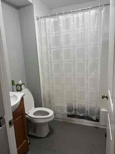 3 Bedroom Apartment - North End