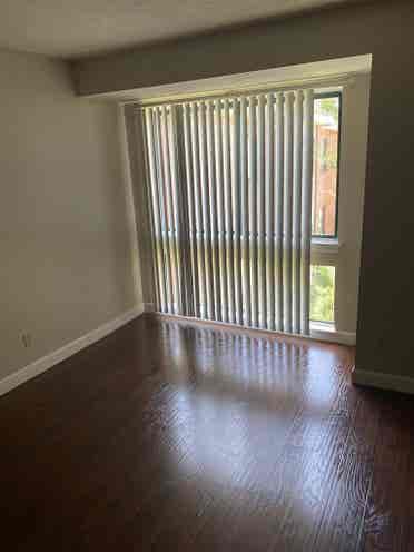 ISO quiet and clean roommate
