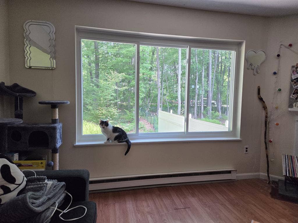 Offering a room in Wolcott CT!