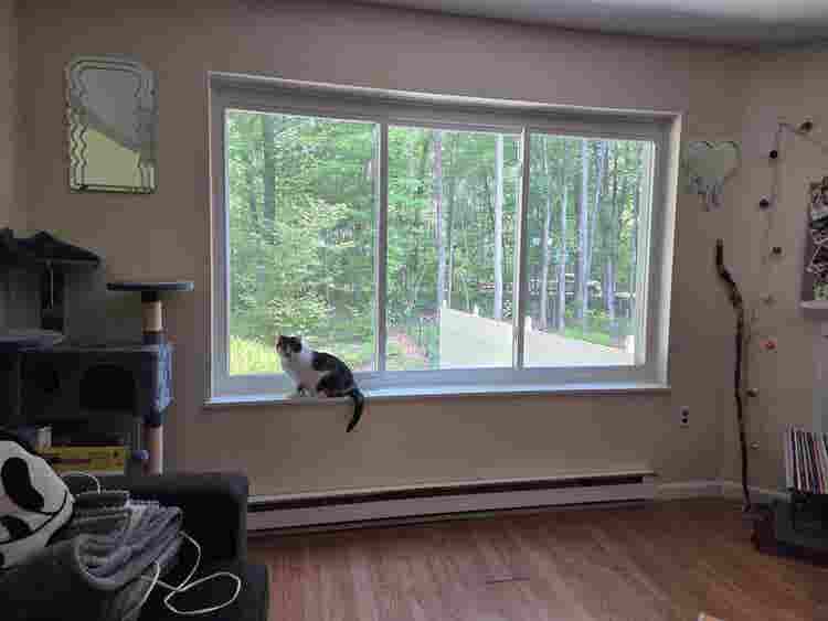 Offering a room in Wolcott CT!