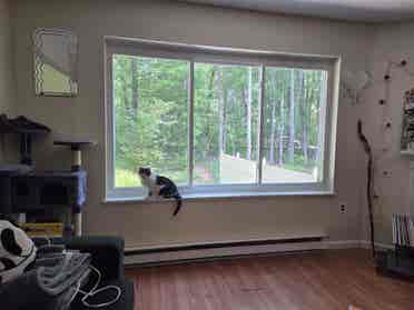 Offering a room in Wolcott CT!