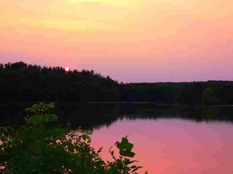 Offering a room in Wolcott CT!