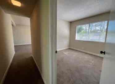1 Bedroom Available - Walnut Creek