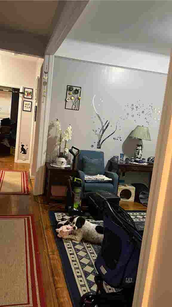 New Listing