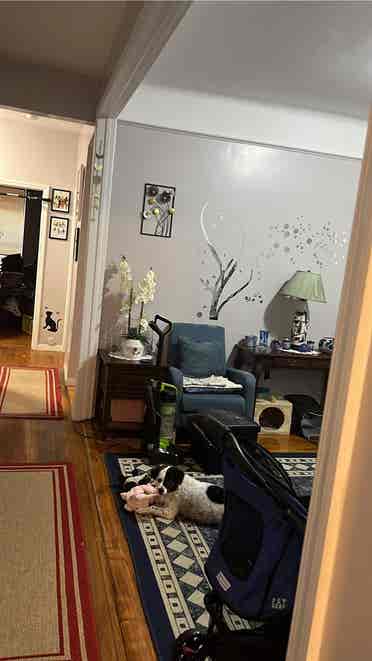 New Listing