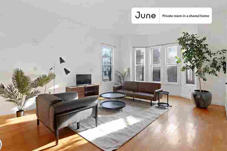 4 BR in Boston