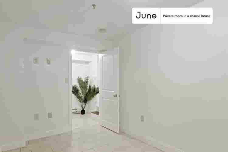 4 BR in Boston