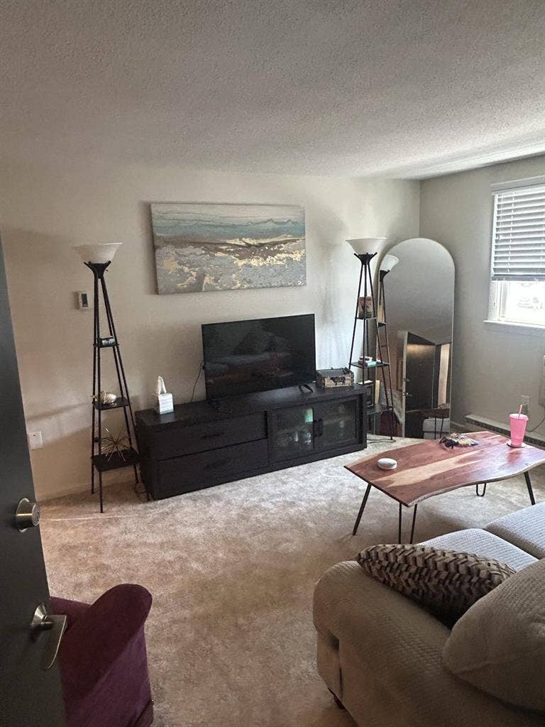 ISO female roommate