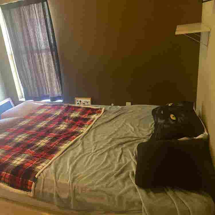 2 private rooms, bathrooms, & pool!