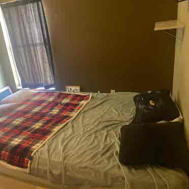 2 private rooms, bathrooms, & pool!