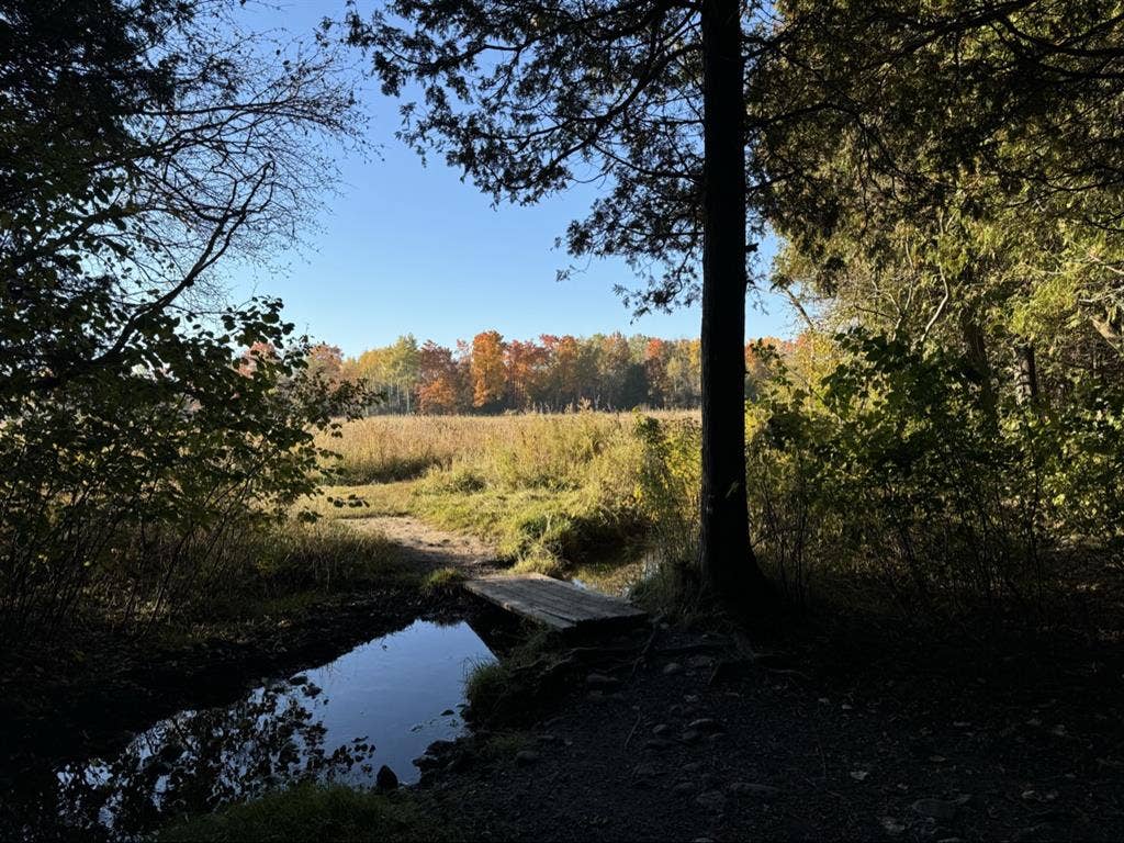 South End Home Park Land - Female