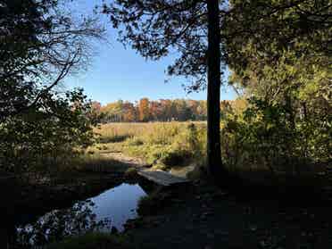South End Home Park Land - Female