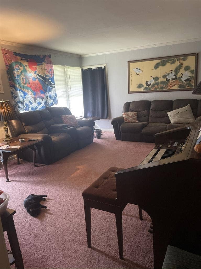 2 girls looking for 3rd room mate