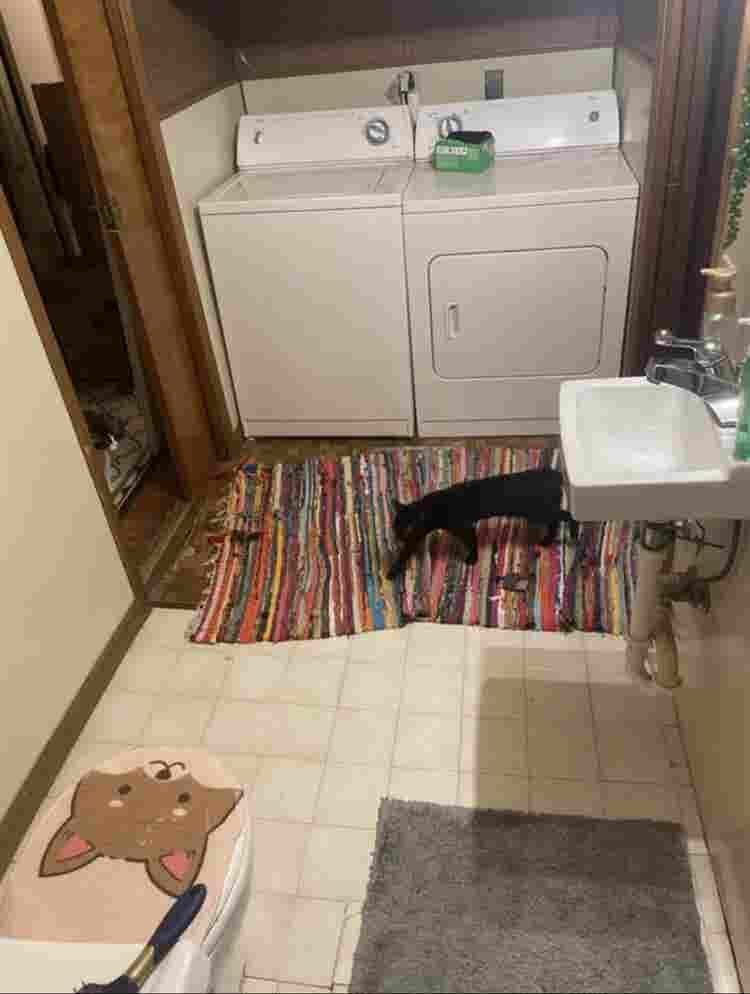 2 girls looking for 3rd room mate