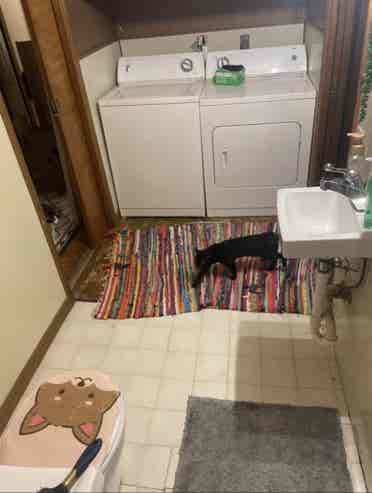 2 girls looking for 3rd room mate