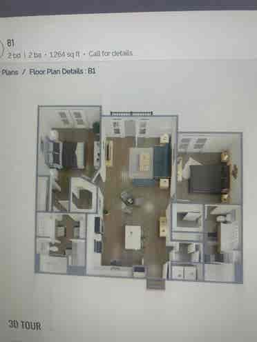 Roommate wanted