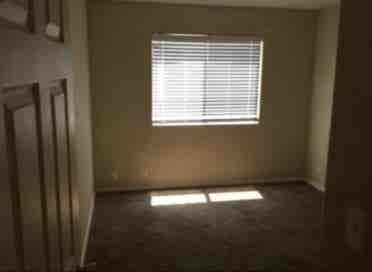 ISO a clean (FEMALE) roommate