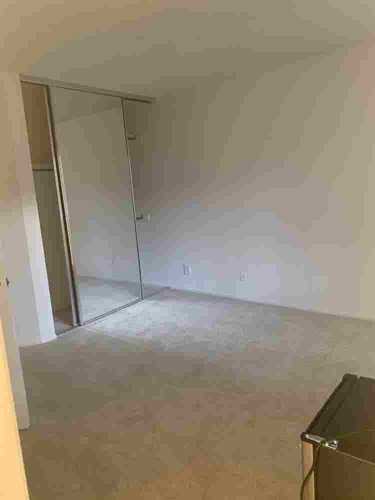 need roommate