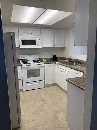 need roommate