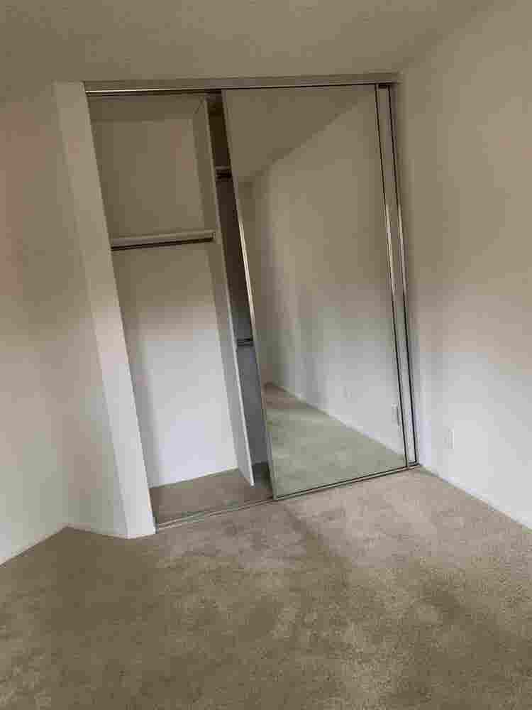 need roommate