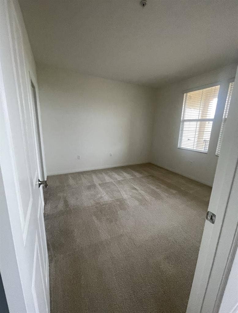 Looking for a female roommate