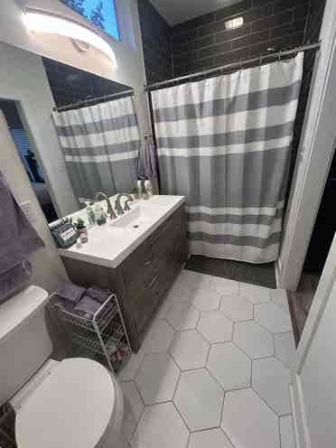 Looking for a roommate