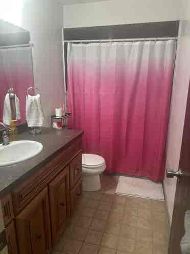 Room in casselberry for rent