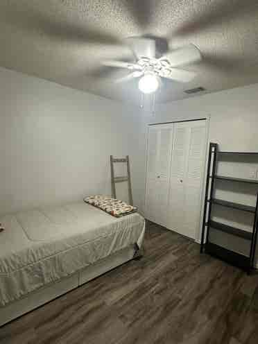 Room in casselberry for rent