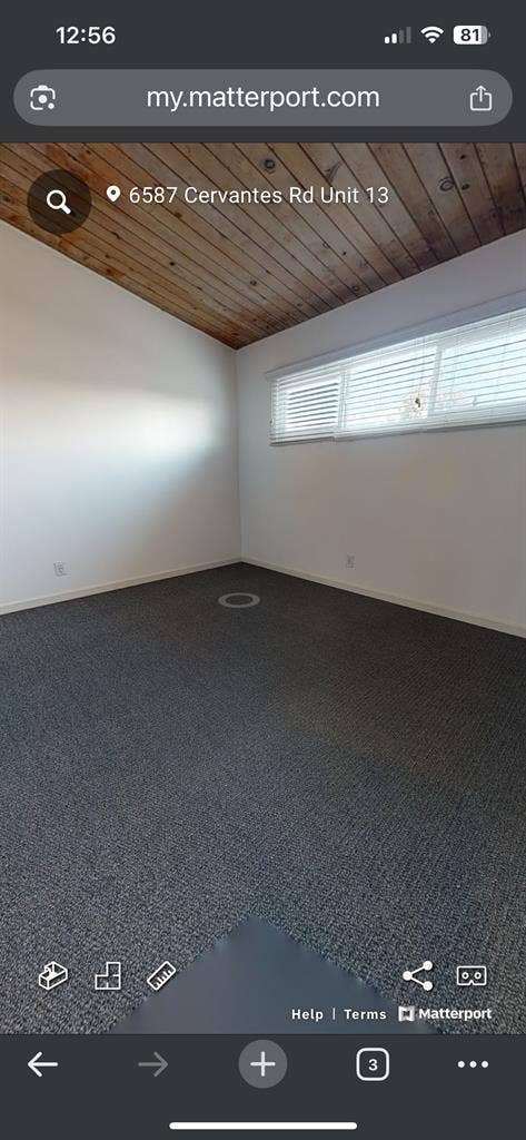 Looking for a roommate