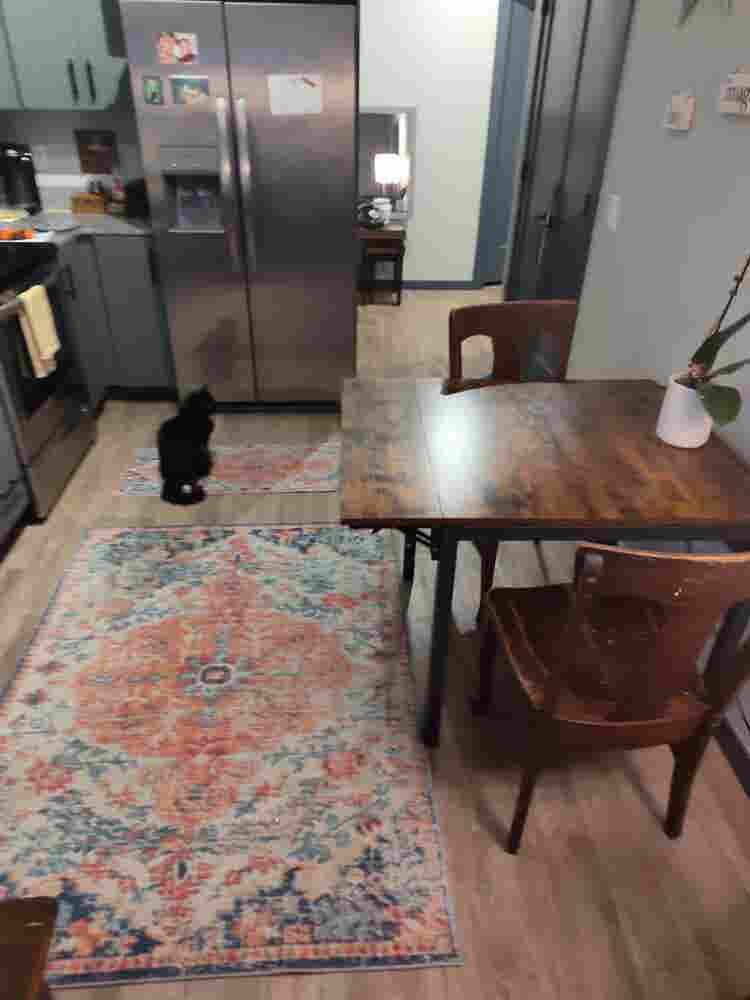 Own bedroom and full bath in 2 BR.