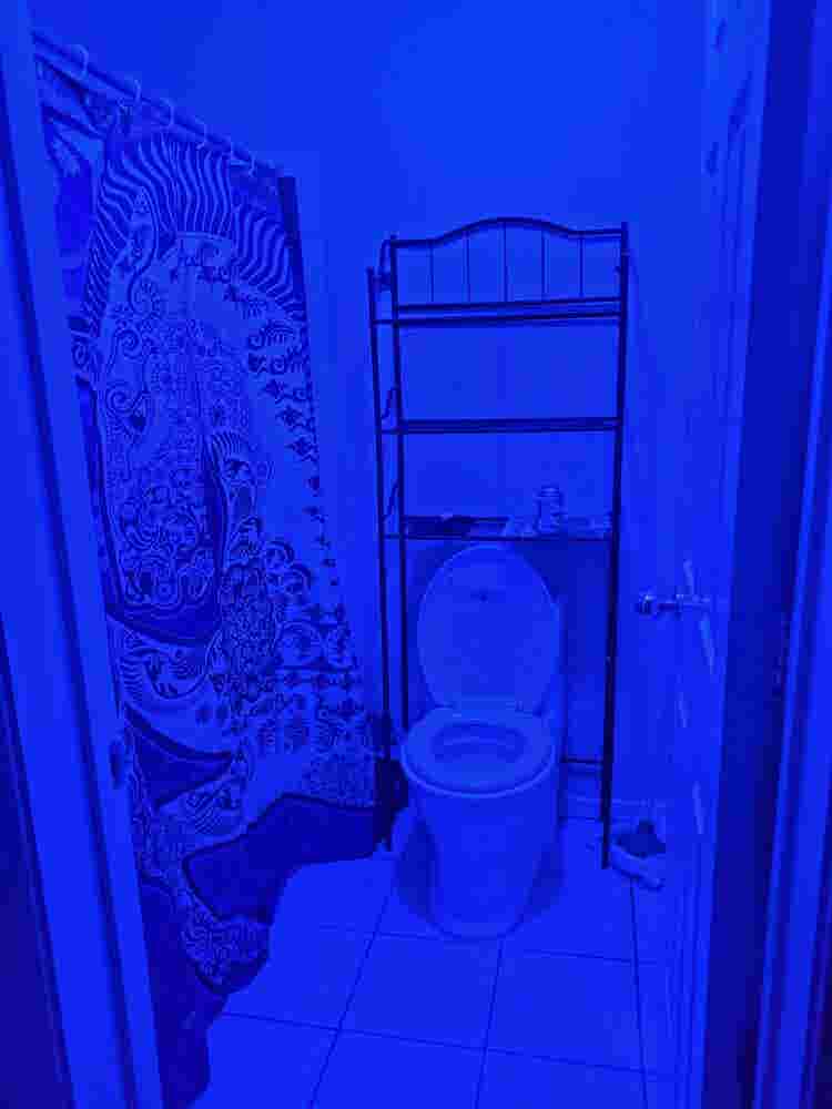 Room for a Woman