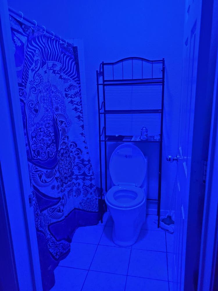Room for a Woman