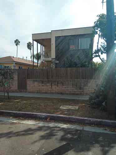 Abbot Kinney Venice