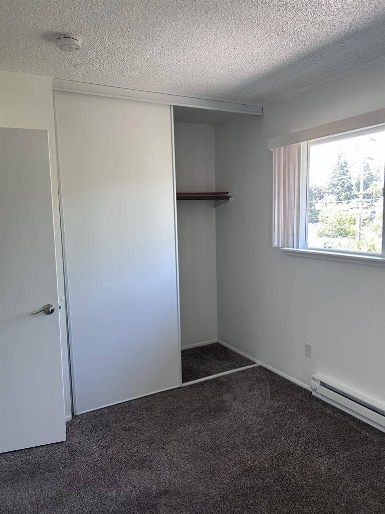 Looking for a roommate!