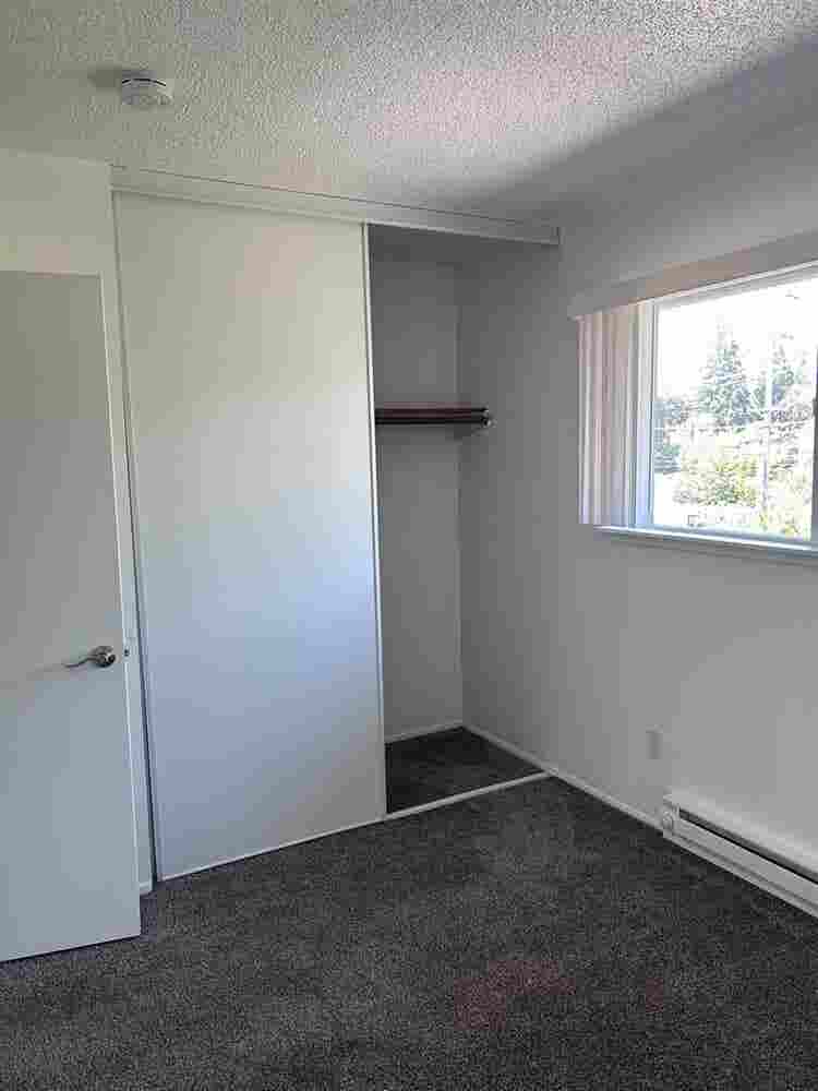 Looking for a roommate!