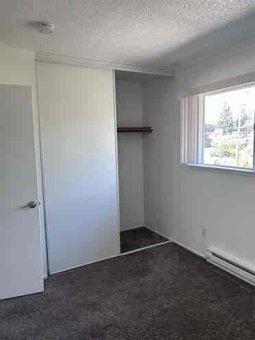 Looking for a roommate!