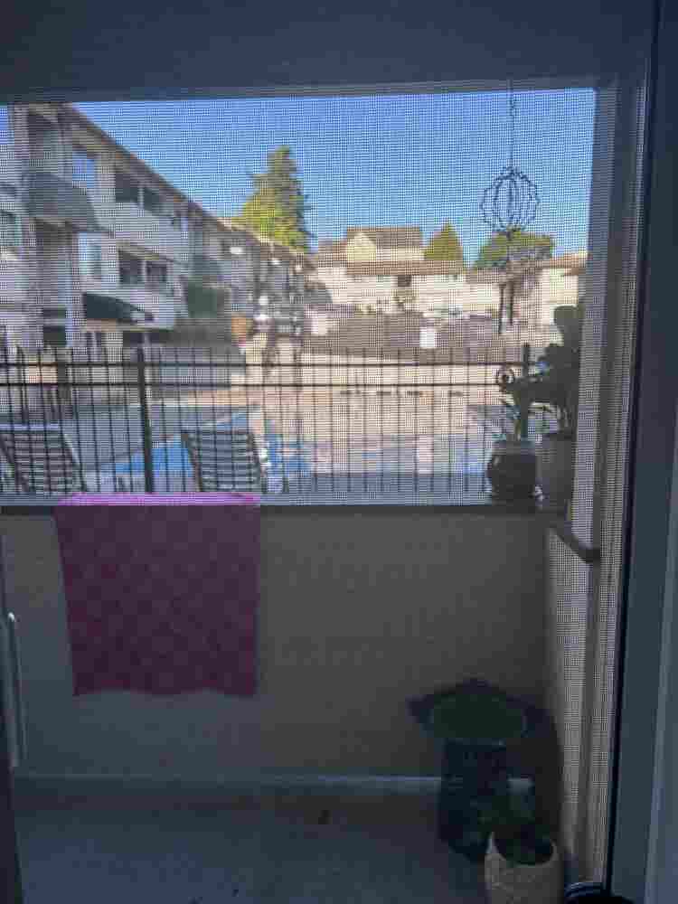 Looking for a roommate!