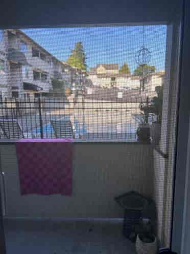Looking for a roommate!