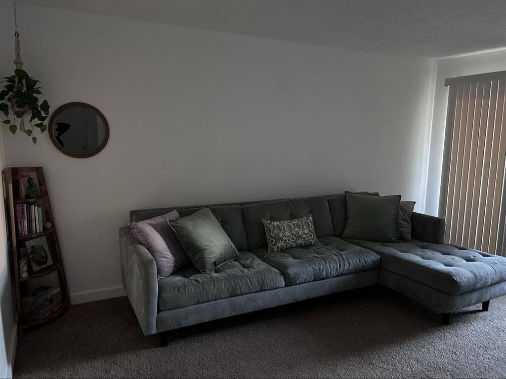 Looking for a roommate!