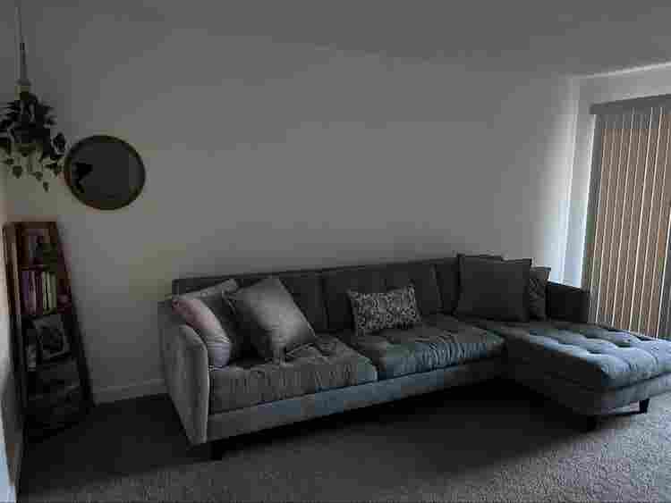 Looking for a roommate!