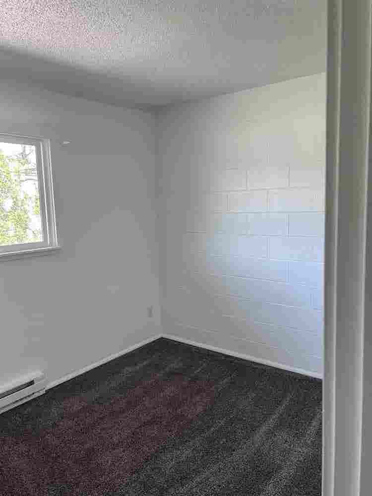 Looking for a roommate!