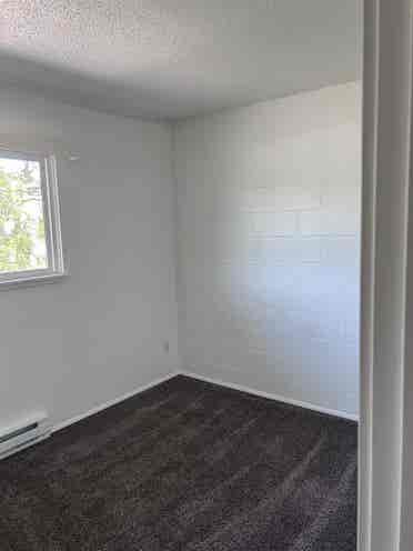 Looking for a roommate!