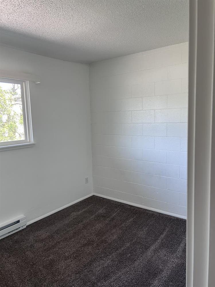 Looking for a roommate!