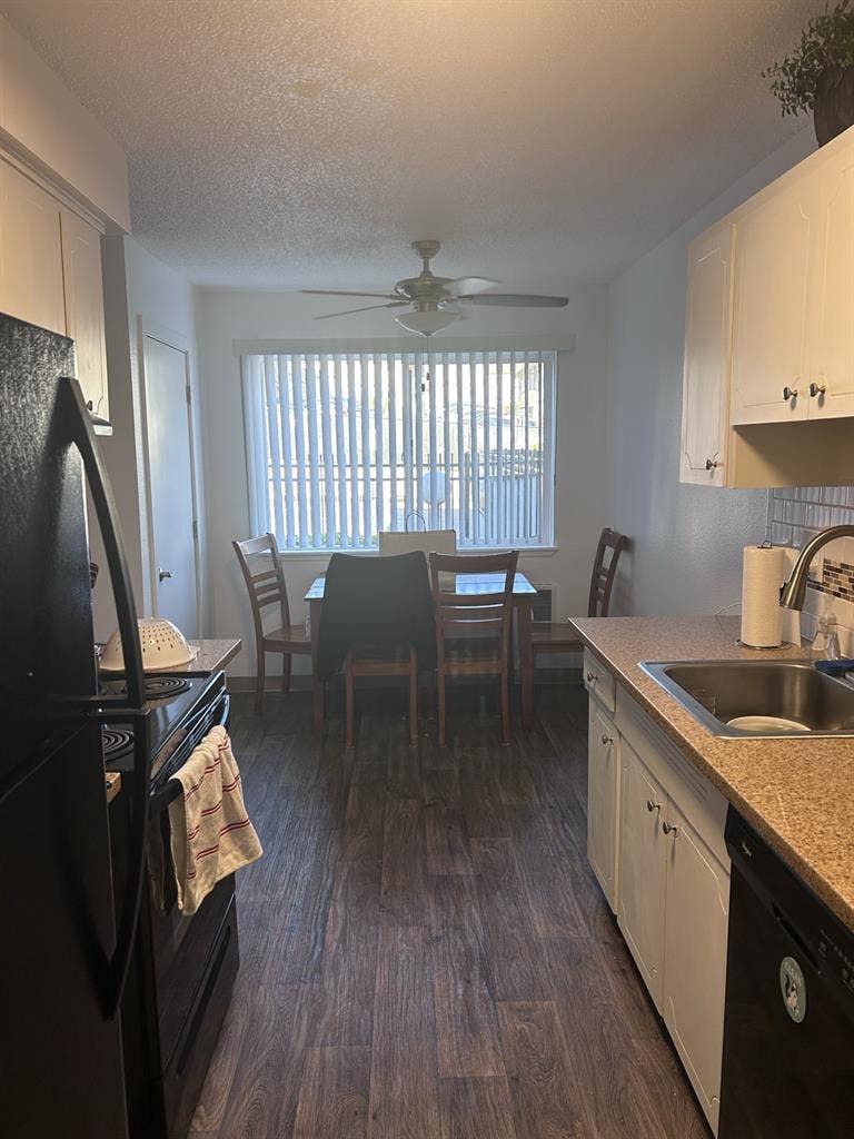 Looking for a roommate!
