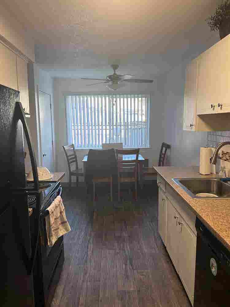 Looking for a roommate!