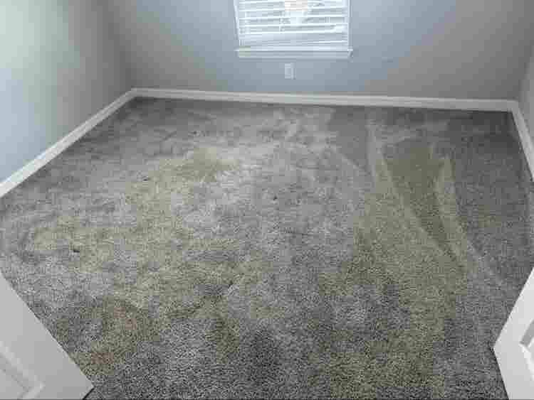 Room available in my home ASAP