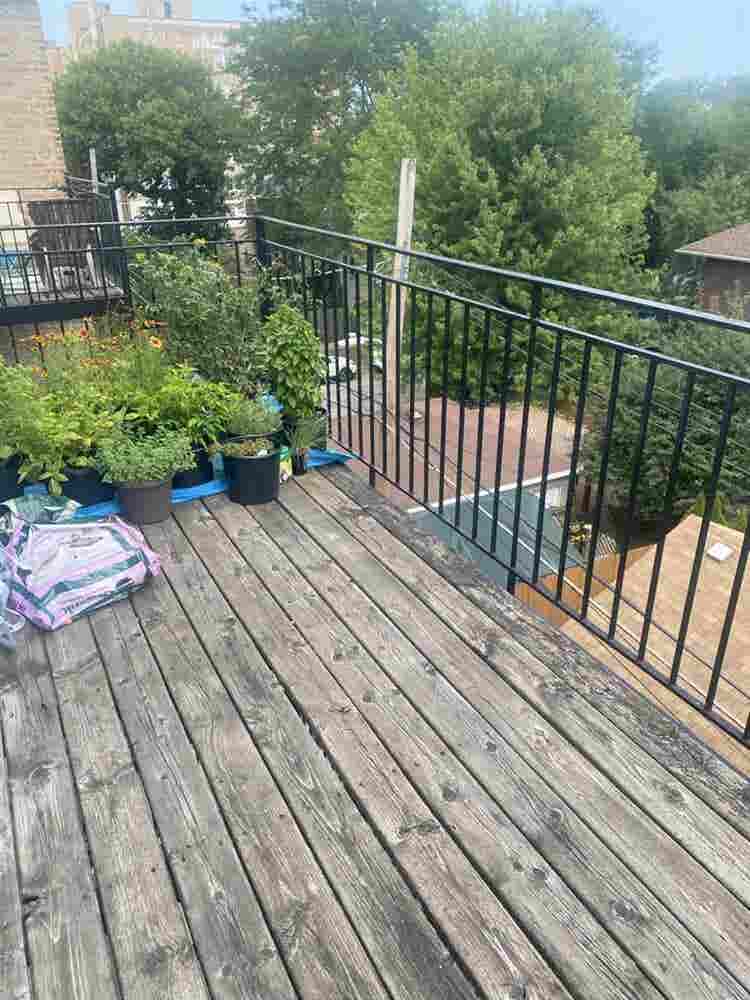 LF roommate in Rogers Park!